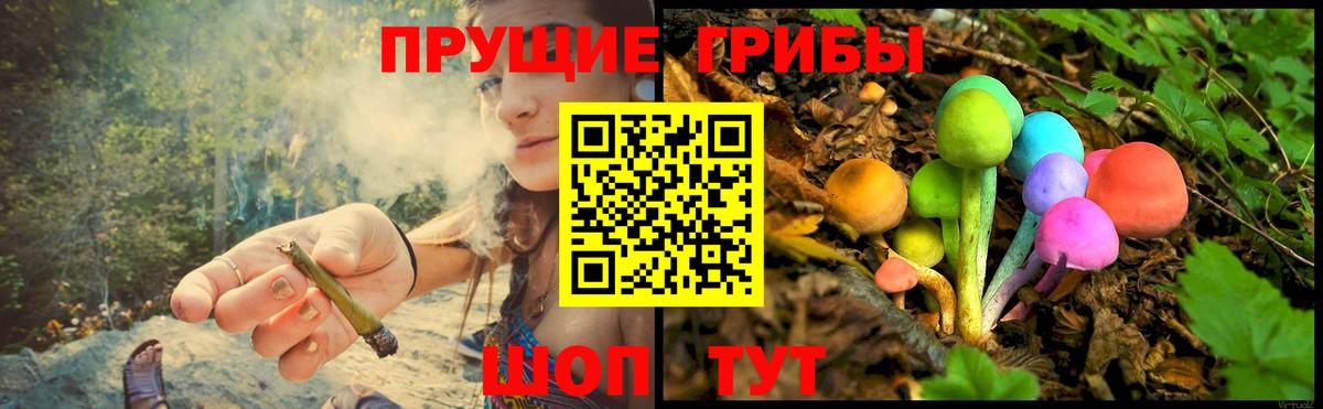 Галлюциногенные грибы ЛСД Ливны